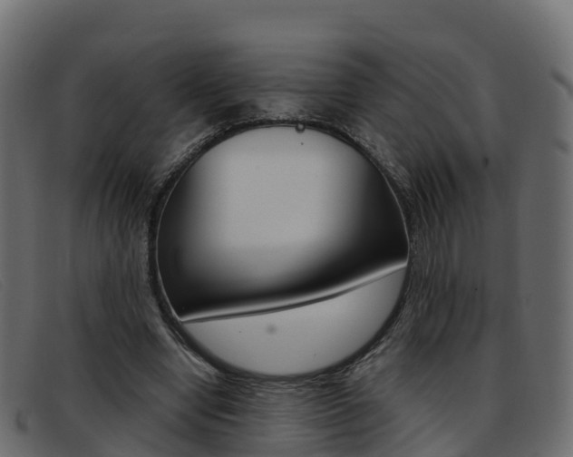X0000093370442200710111329