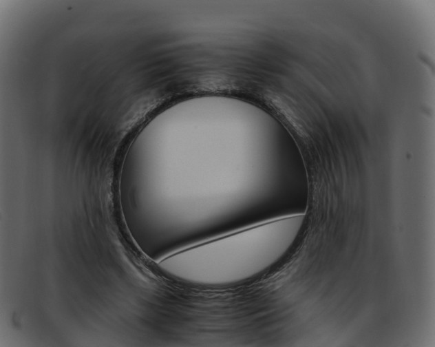 X0000093370443200710111329