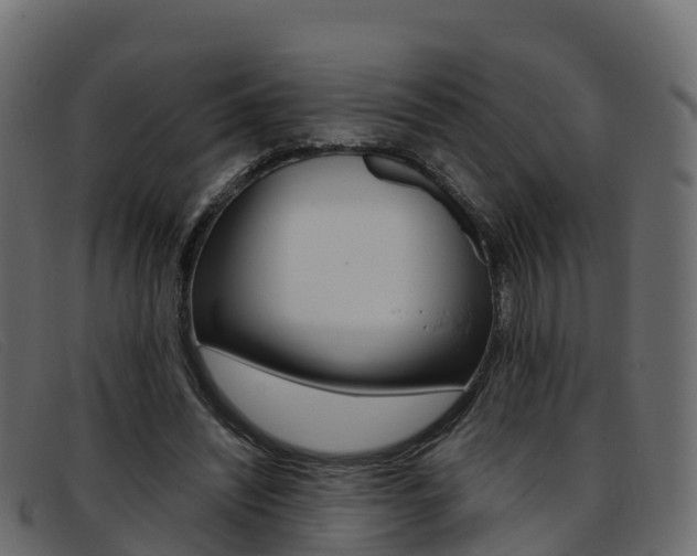 X0000093370444200710111329