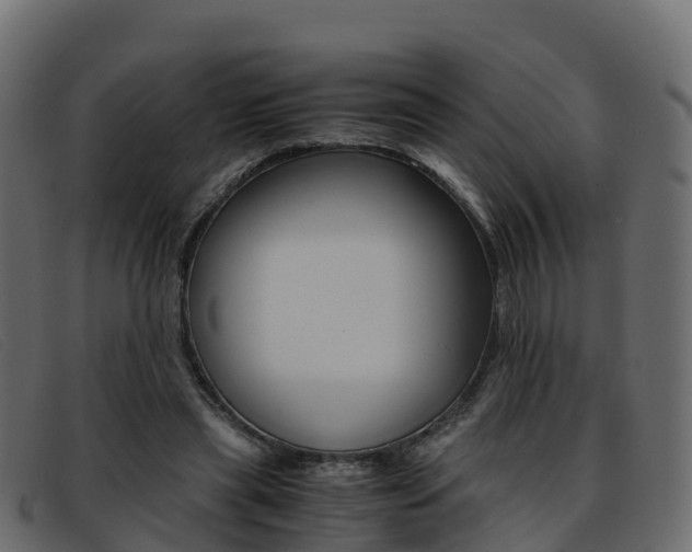 X0000093370445200710111329