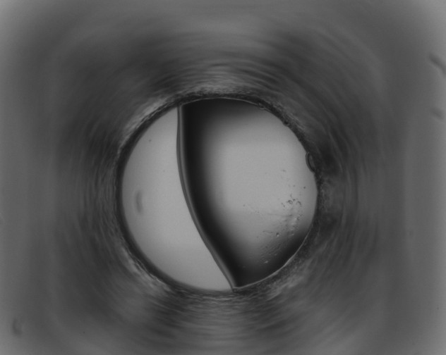 X0000093370446200710111329