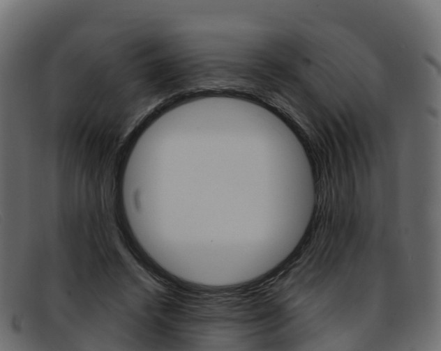 X0000093370448200710111329