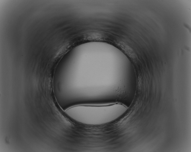 X0000093370449200710111329