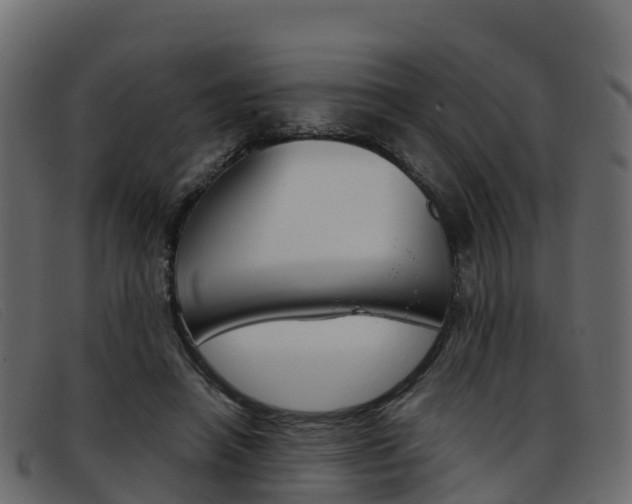 X0000093370450200710111329