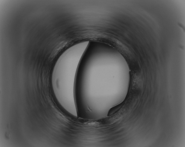 X0000093370452200710111330