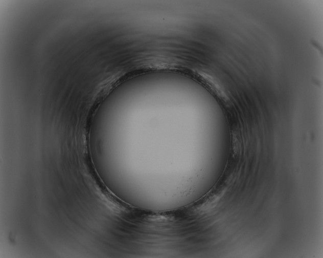 X0000093370453200710111330