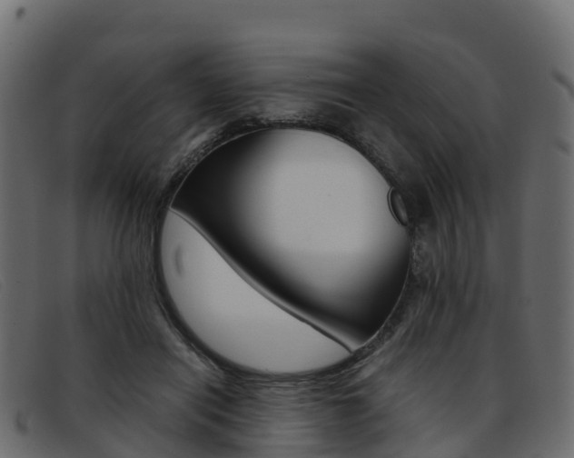 X0000093370454200710111330