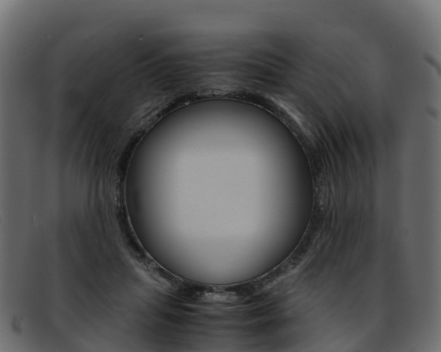 X0000093370455200710111330