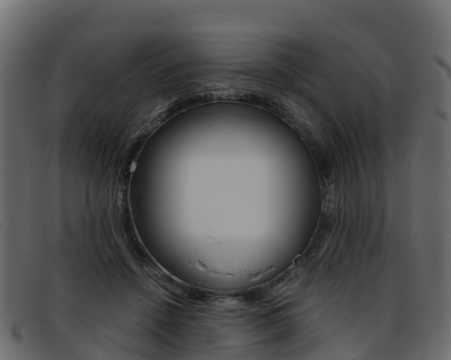 X0000093370456200710111330