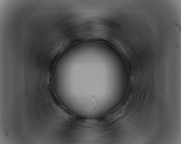 X0000093370458200710111330