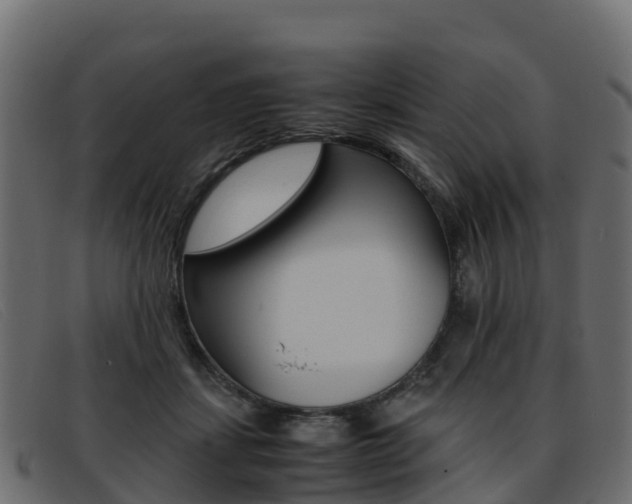 X0000093370459200710111330