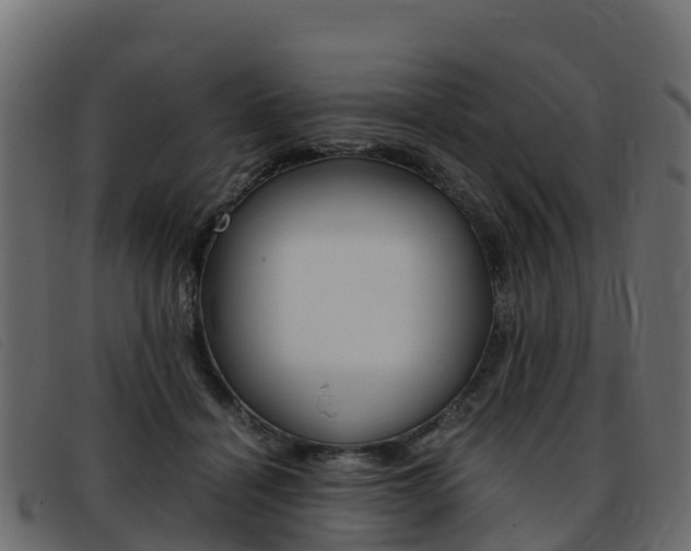 X0000093370460200710111330