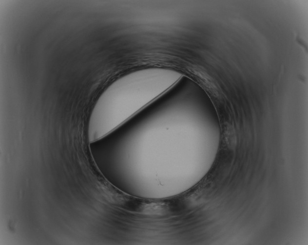 X0000093370461200710111330