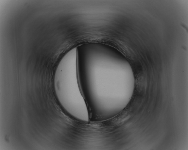 X0000093370462200710111330
