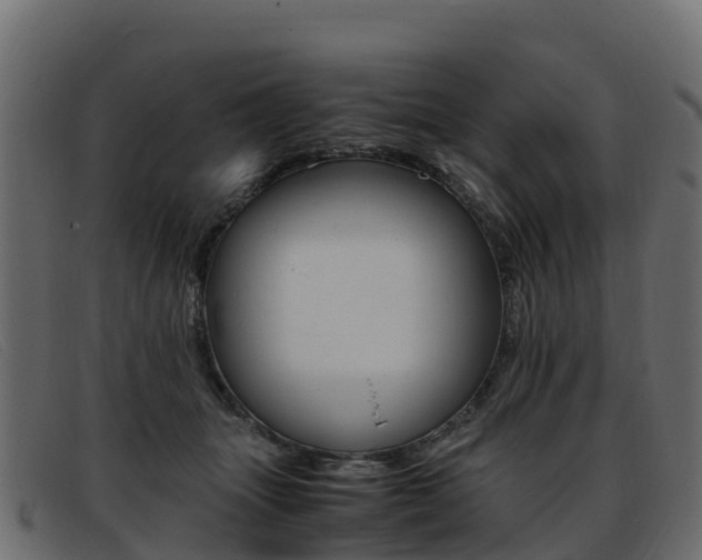 X0000093370463200710111330