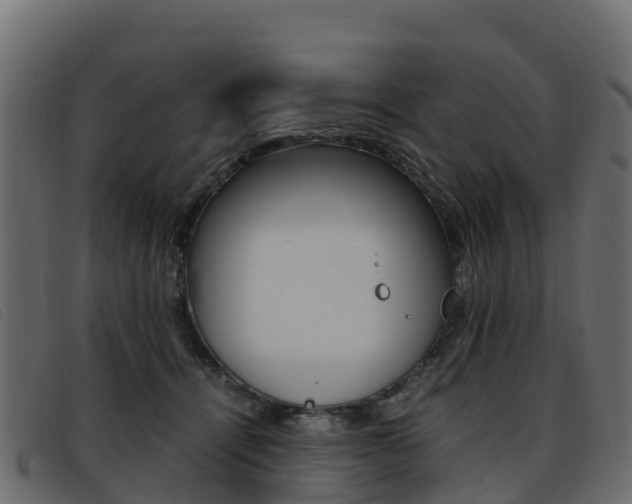 X0000093370464200710111330