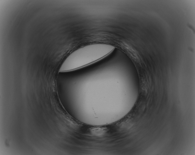 X0000093370465200710111330