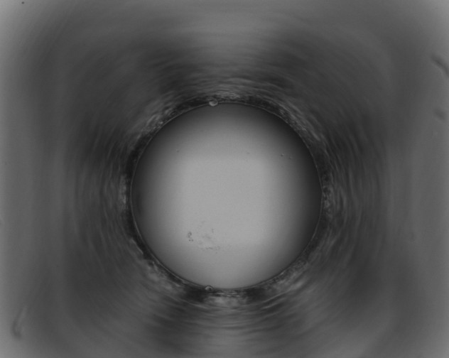 X0000093370466200710111330