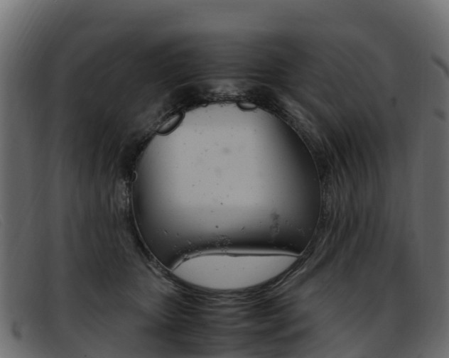 X0000093370467200710111330