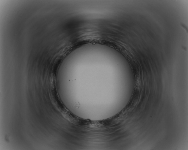 X0000093370468200710111330