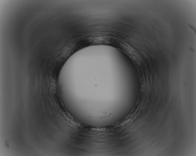 X0000093370469200710111330