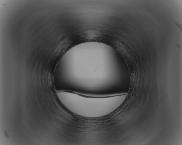 X0000093370470200710111330