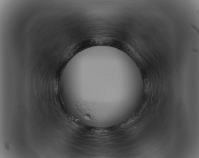 X0000093370471200710111330