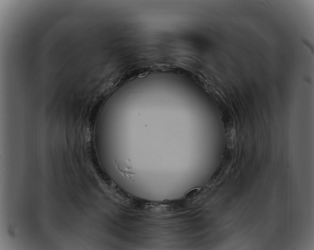 X0000093370472200710111330