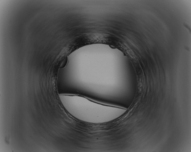 X0000093370473200710111330