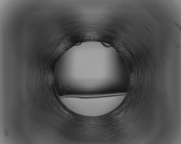 X0000093370474200710111330