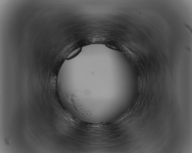 X0000093370475200710111330
