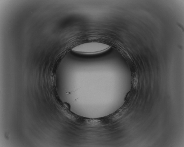 X0000093370476200710111330