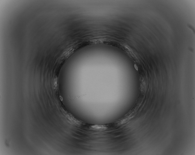 X0000093370477200710111330