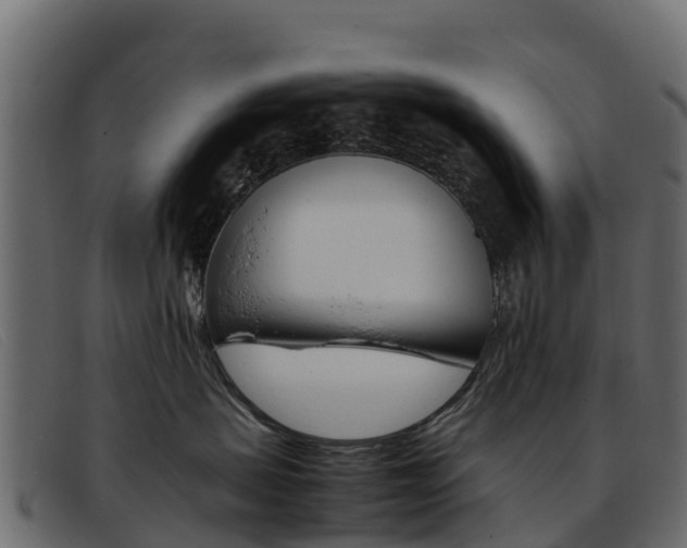 X0000093370479200710111330