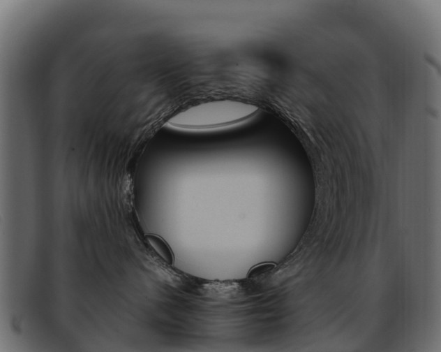 X0000093370480200710111330