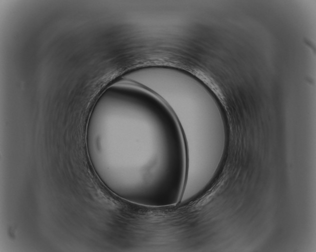 X0000093370481200710111329
