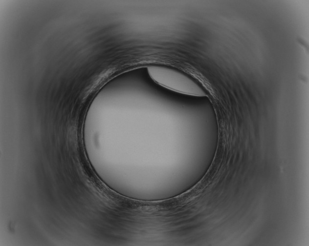 X0000093370482200710111329
