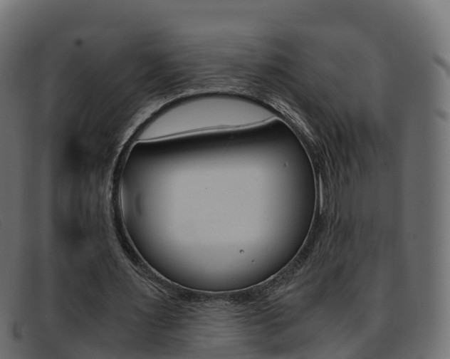 X0000093370483200710111329