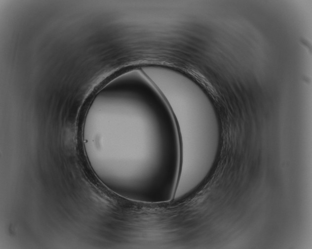 X0000093370484200710111329