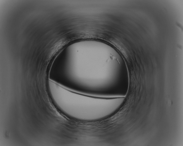 X0000093370485200710111329
