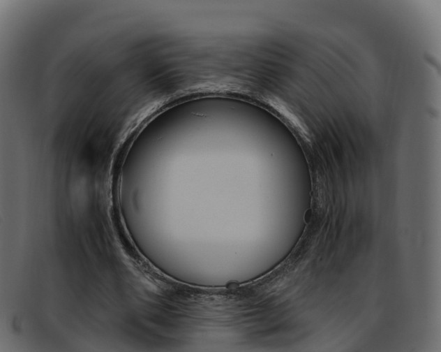 X0000093370486200710111329
