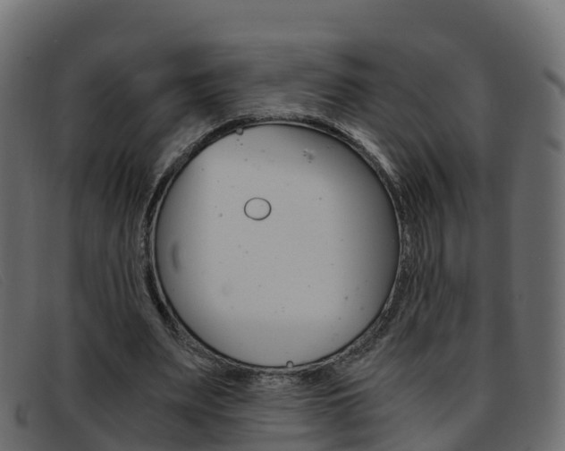 X0000093370487200710111329