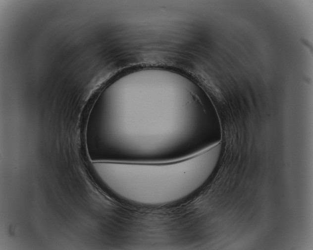 X0000093370488200710111329