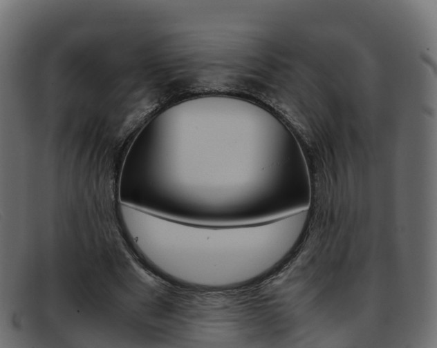 X0000093370489200710111329