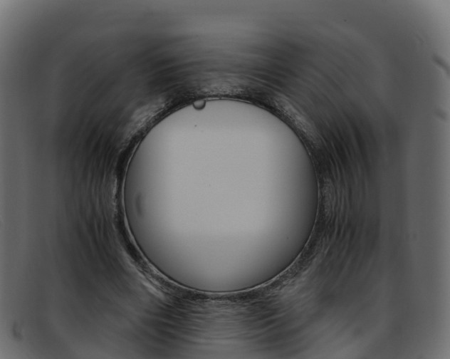 X0000093370490200710111329