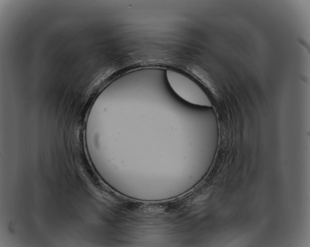 X0000093370491200710111329