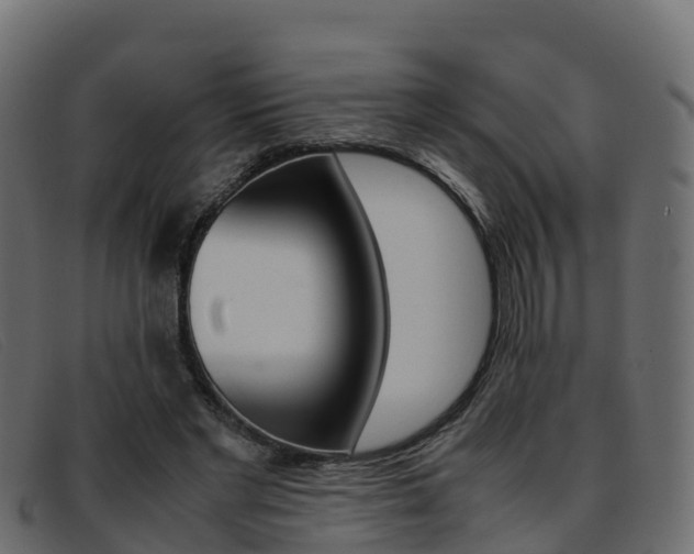 X0000093370493200710111329