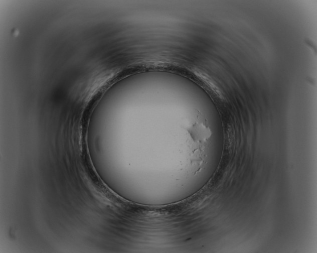 X0000093370494200710111329