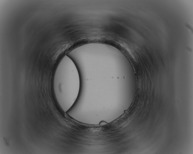 X0000093370495200710111329