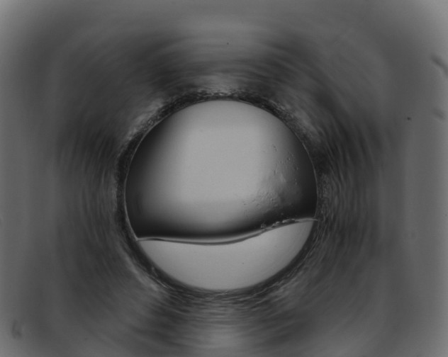 X0000093370496200710111329